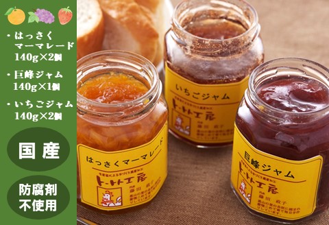 手づくりジャム詰め合わせセット【ジャム 手づくり マーマレード はっさく 巨峰 さがほのか 詰め合わせ セット】 K016007