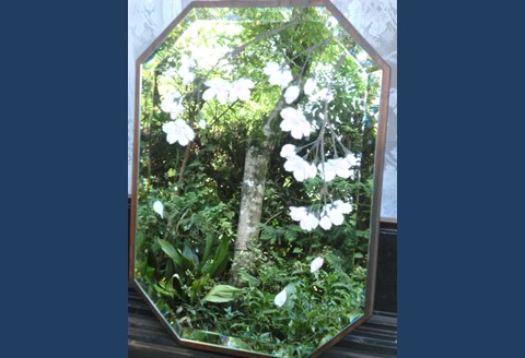 里山彩鏡・枝垂れ桜の壁掛面取り鏡【鏡 枝垂れ桜 桜 天然木 サンドブラスト 壁掛け 高級感 温かみ】 K024072