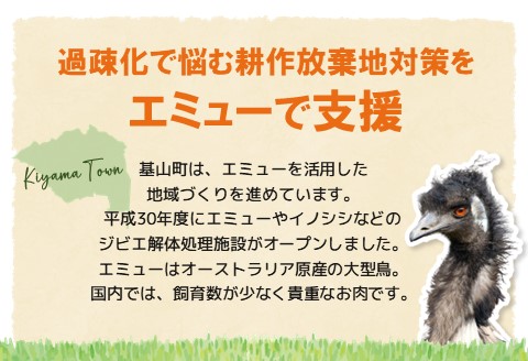 エミュー肉みそ4瓶【エミュー 基山産 高タンパク 高鉄分 低カロリー ヘルシー 貴重肉 鉄分補給 ご飯の友 トッピング 珍味】K006035