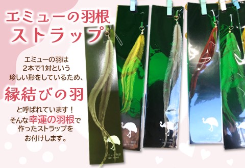 エミューキーマカレー(中辛)・エミューの羽根ストラップ【エミュー 基山産 高タンパク 高鉄分 低カロリー ヘルシー 鉄分補給 簡単 手軽 カレー レトルト 貴重 ダイエット】K006029