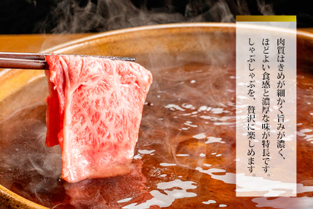 佐賀牛肩ロースしゃぶしゃぶ用 500g【佐賀牛 ロース 濃厚 霜降り肉 赤身 絶品 しゃぶしゃぶ 牛しゃぶ 真空】 K062019