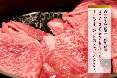 佐賀牛肩ロースすき焼き用 500g【佐賀牛 ロース 濃厚 霜降り肉 赤身 絶品 すき焼き 真空】 K062020