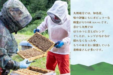 【2か月定期便】みよしの蜂蜜(もちの木)220g×1本【はちみつ もちの木 国産 ミツバチ 甘み スッキリ コク トロトロ】K063400