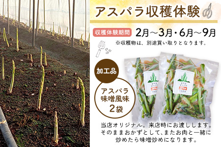 空とたね 食事券＆収穫体験＆加工品セット【ランチ 古民家カフェ 和カフェ 地産地消 アスパラ 野菜 旬】K093008