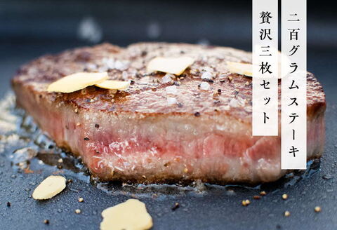 《佐賀牛》「梁井」希少部位 ヒレステーキ 3枚 600g【佐賀牛 ヒレステーキ フィレステーキ ヒレ肉 フィレ やわらか 上質 サシ 美味しい パーティー イベント ブランド肉】 K081034