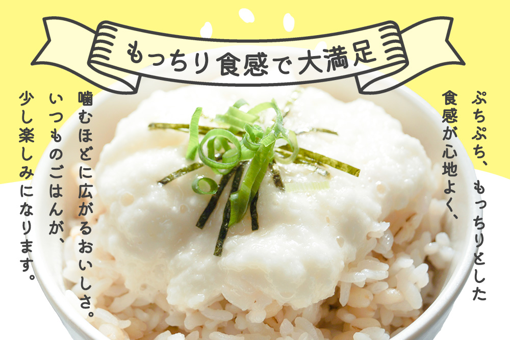 キラリもち麦500g【佐賀県産 もち麦 食物繊維 白米になじむ クセが少ない】K018037