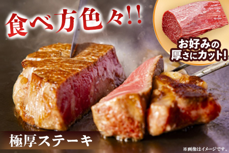 【3カ月定期便】佐賀牛 ヒレシャトーブリアンブロック 2kg(500g×4本)【幻のお肉 希少価値 高級佐賀牛 ヒレ肉 中央部分 ダイヤモンドカット とろける口当たり ローストビーフ ステーキ 焼肉 最高級部位】K030537