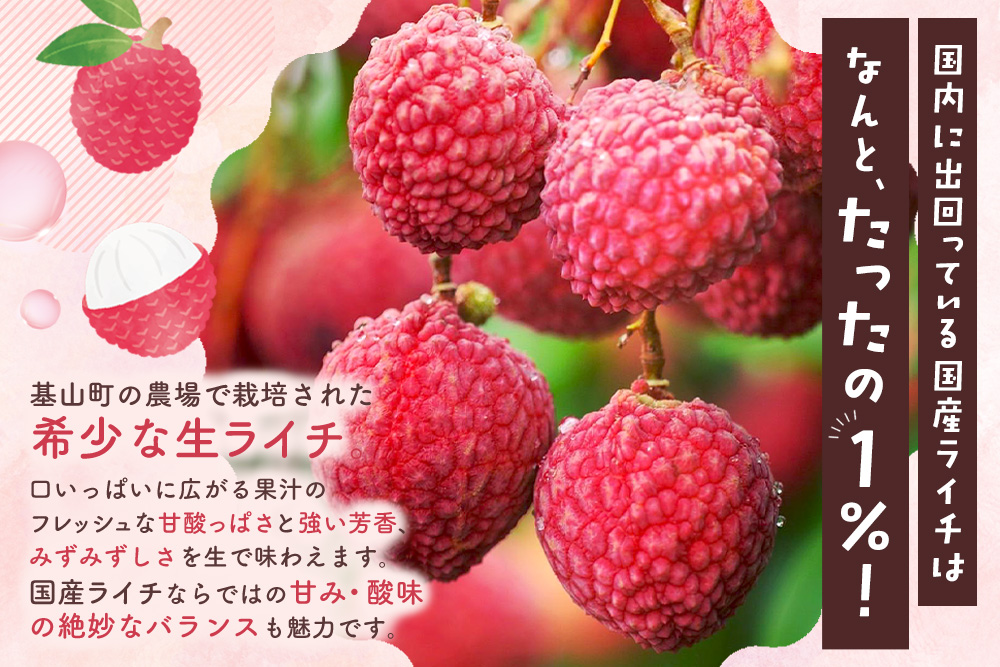 【先行受付】佐賀県産ライチ 1kg(贈答用)【生ライチ ライチ 生 基山町産 贈答用 貴重 国産 新鮮 フレッシュ 肉厚 1kg お中元 贈り物】K060007
