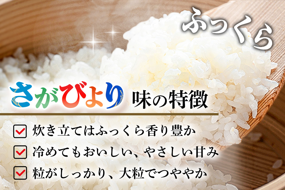 【連続特A受賞米】佐賀県基山町の米・令和7年産 さがびより(精米)3kg〈生産者直送〉【米 ブランド米 特A 冷めても美味い 3kg ふるさと納税 kome okome shinnmai shinmai】K094004