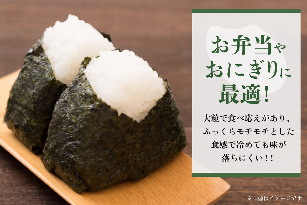 【令和7年新米】基山の米 さがびより 5kg特別栽培米【15年連続特A受賞米 ブランド米 精米 化学農薬・化学肥料不使用 環境保護 健康志向 美味しい米 こだわり米 お米 地元産 風味豊か こだわりの味 kome okome shinnmai shinmai】K098003