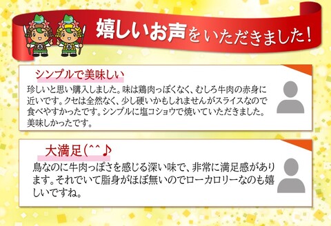 エミュースライス 400g【エミュー 基山産 高タンパク 高鉄分 低カロリー ヘルシー ジビエ 貴重肉 鉄分補給】K006031