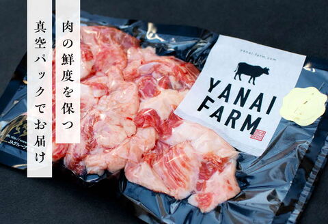 《佐賀牛》梁井 コラーゲンたっぷり スジ肉盛り合わせ 1kg【佐賀牛 スジ肉 コラーゲン ぷるぷる やわらか 煮込み料理 美味しい ブランド肉】K081031
