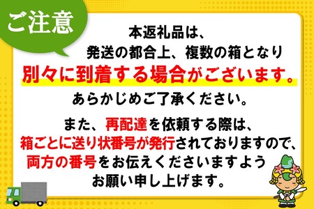 アクエリアス 500mlPET (2ケース) 計48本【コカコーラ 熱中症対策 スポーツ飲料 スポーツドリンク 水分補給 ペットボトル 健康 スッキリ ミネラル アミノ酸 クエン酸 リフレッシュ 常備 保存 買い置き】K090163
