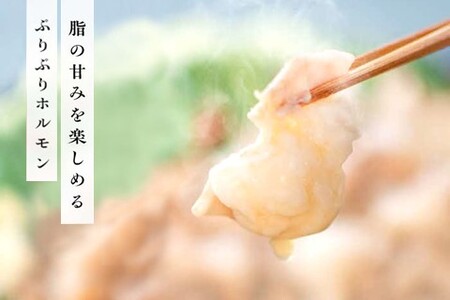 〈口どけなめらか〉梁井 ぷりぷりホルモン 1kg(小腸)【コラーゲン 牛もつ 小腸 ぷりぷり 弾力 焼肉 鍋 もつ鍋 味噌煮込み 小分け パック】K081036