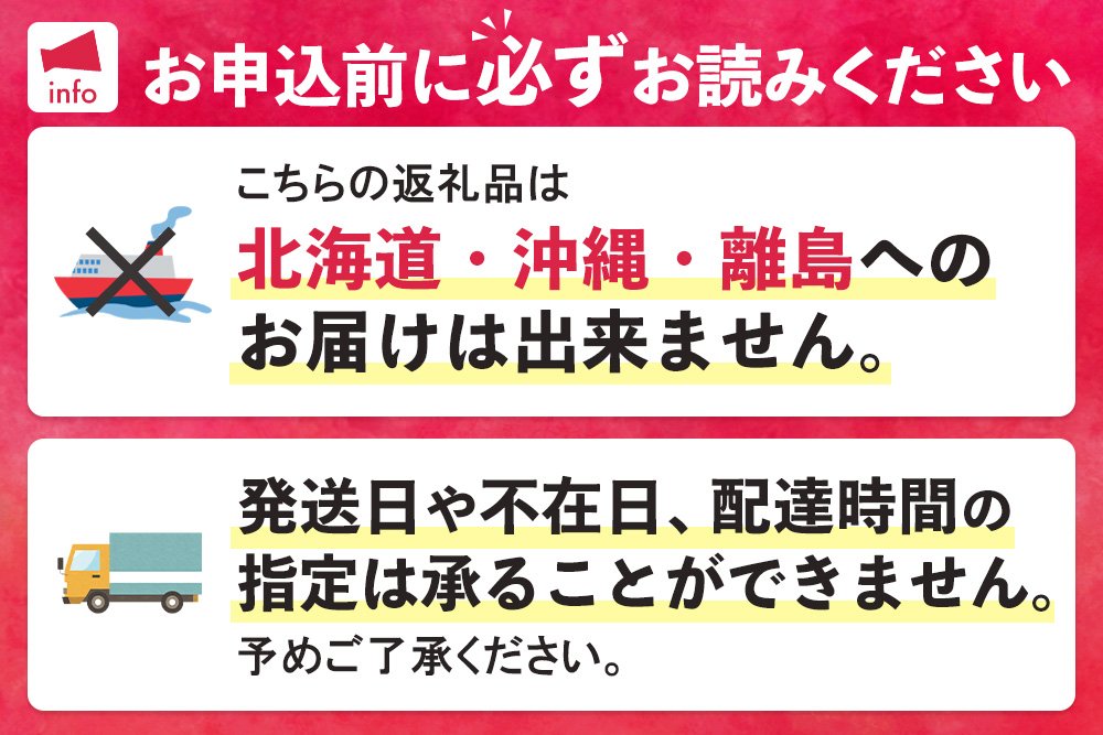 【先行受付】佐賀県産ライチ 600g(贈答用)【生ライチ ライチ 生 基山町産 贈答用 貴重 国産 新鮮 フレッシュ 肉厚 600g お中元 贈り物】K060008
