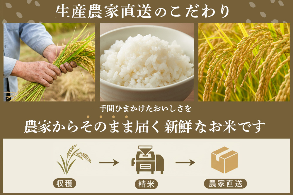 【連続特A受賞米】佐賀県基山町の米・令和7年産 さがびより(精米)3kg〈生産者直送〉【米 ブランド米 特A 冷めても美味い 3kg ふるさと納税 kome okome shinnmai shinmai】K094004