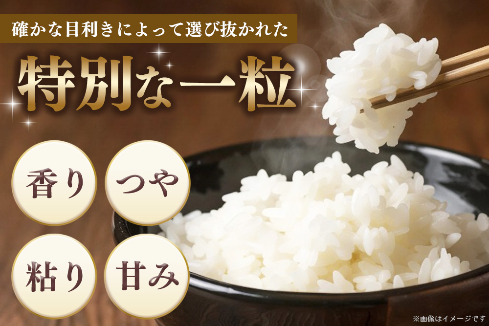 【令和7年産新米】五ツ星お米マイスター厳選 夢しずく無洗米 10kg (5kg×2袋)【お米 米 美味しいご飯 ゆめしずく おいしいお米 無洗米 地元産 新鮮 芳醇 こだわり 佐賀県 kome okome shinnmai shinmai】K103022