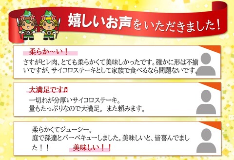 【訳あり】佐賀牛 ヒレ不揃いサイコロステーキ 600g【佐賀牛 牛肉 サイコロステーキ ヒレ肉 不揃い ステーキ肉 サシ カレー 角切り 訳あり ブランド肉 BBQ バーベキュー】K030112