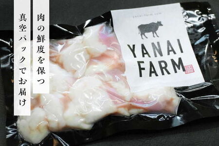 〈口どけなめらか〉梁井 ぷりぷりホルモン 1kg(小腸)【コラーゲン 牛もつ 小腸 ぷりぷり 弾力 焼肉 鍋 もつ鍋 味噌煮込み 小分け パック】K081036