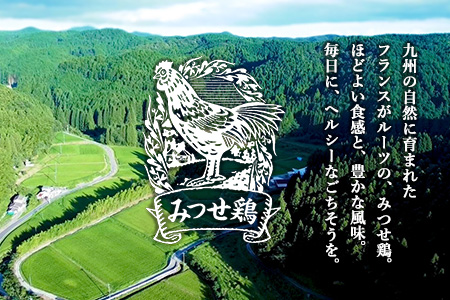 佐賀県産みつせ鶏 焼き三昧(5種)【焼き鳥 酒の肴 居酒屋 おつまみ 飲み会 塩焼 柚子胡椒焼き 黒胡椒焼き 七味焼き 塩こうじ漬け 低脂質 ヘルシー 旨味 柔らか 歯ごたえ】K059045