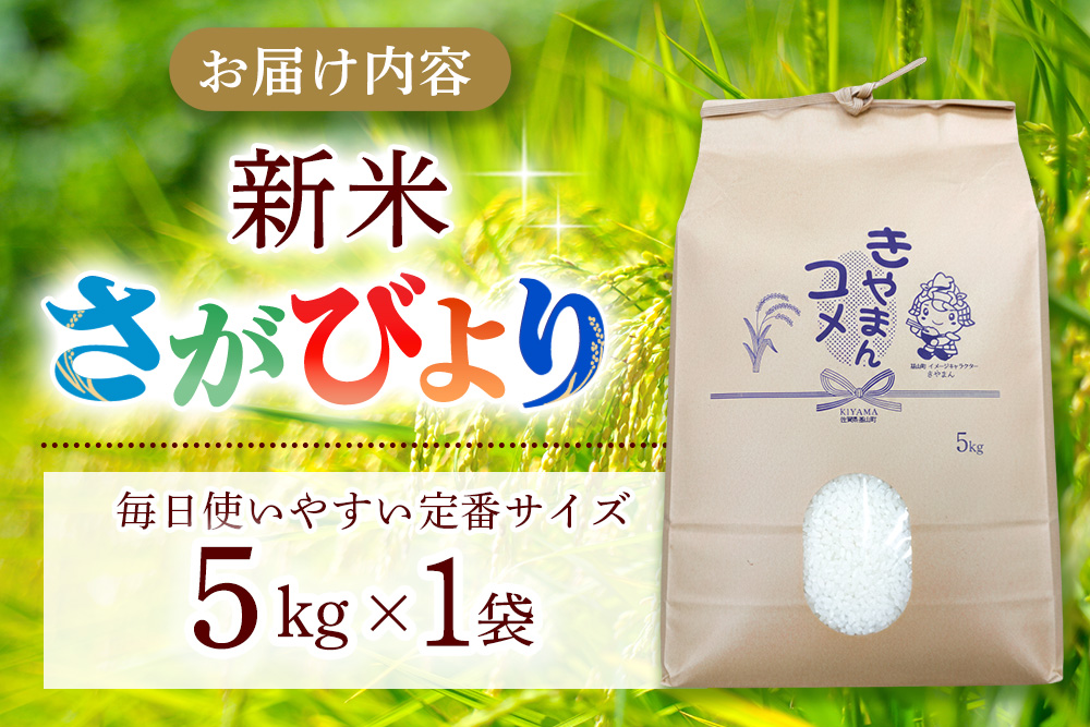 【連続特A受賞米】佐賀県基山町の米・令和7年産 さがびより(精米)5kg〈生産者直送〉【米 ブランド米 特A 冷めても美味い 5kg ふるさと納税 kome okome shinnmai shinmai】K094003