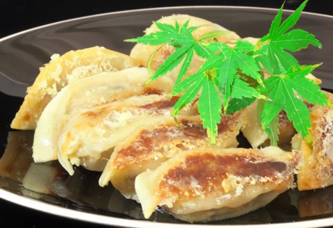 手づくり餃子 銀の羽 40個入【ぎょうざ ジューシー コラーゲン ビールのおつまみ ボリューム 小分け】K007017