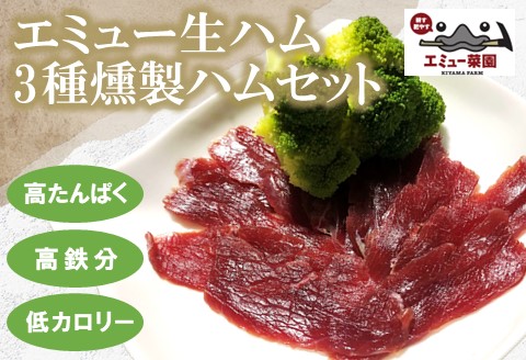 エミュー生ハム・3種燻製ハムセット【エミュー 基山産 高タンパク 高鉄分 低カロリー ヘルシー ジビエ 酒の肴 おつまみ 貴重肉 鉄分補給】K006033