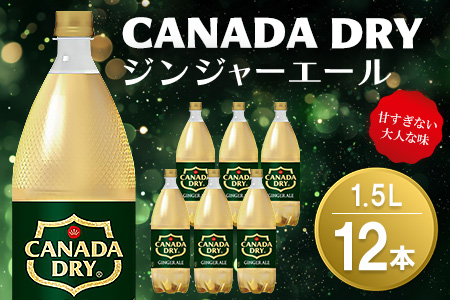 カナダドライ ジンジャーエール 1.5LPET (2ケース) 計12本【コカコーラ ジンジャー 炭酸飲料 炭酸 1.5リットル ペットボトル ペット シャンディガフ 刺激 気分爽快 イベント】K090153