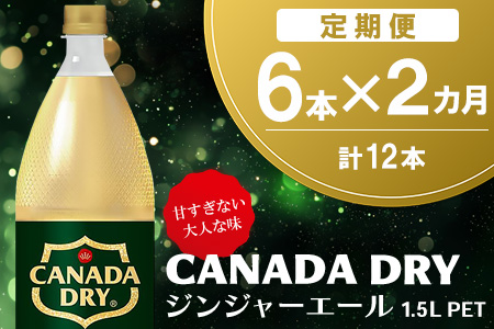 【2か月定期便】カナダドライ ジンジャーエール 1.5LPET (6本×2回)【ジンジャー 炭酸飲料 炭酸 1.5L 1.5リットル ペットボトル ペット シャンディガフ 刺激 気分爽快 イベント】K090491