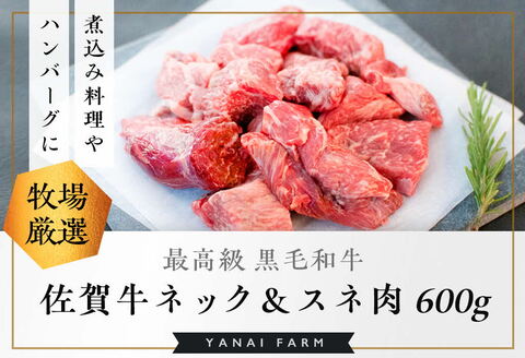 《佐賀牛》梁井 旨味たっぷり ネック＆スネ肉 600g【佐賀牛 スジ肉 赤身 コラーゲン ぷるぷる ほろほろ トロける スネ すね 煮込み料理 カレー シチュー 美味しい ブランド肉】K081032