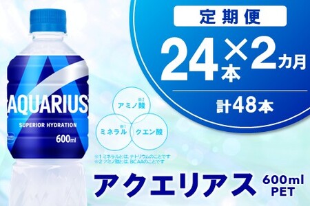 【2カ月定期便】アクエリアス 600mlPET×24本(1ケース)【コカコーラ 熱中症対策 スポーツ飲料 スポーツドリンク 水分補給 カロリーオフ ペットボトル 健康 スッキリ ミネラル アミノ酸 クエン酸 リフレッシュ 常備 保存 買い置き】K090457