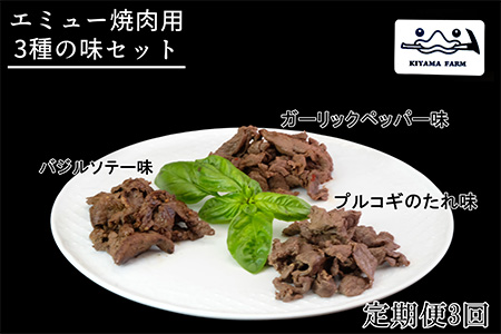【3か月定期便】エミュー焼肉用3種の味セット【エミュー 基山産 高タンパク 高鉄分 低カロリー ヘルシー ジビエ 貴重肉 鉄分補給】K006329