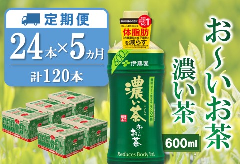 【5か月定期便】おーいお茶濃い茶 600ml×24本(合計5ケース)【伊藤園 お茶 緑茶 濃い 渋み まとめ買い 箱買い ケース買い カテキン 2倍 体脂肪 備蓄 防災 熱中症】K071474