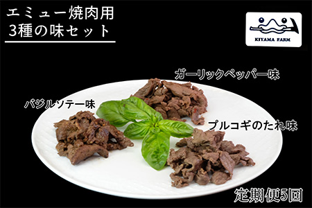 【5か月定期便】エミュー焼肉用3種の味セット【エミュー 基山産 高タンパク 高鉄分 低カロリー ヘルシー ジビエ 貴重肉 鉄分補給】K006330