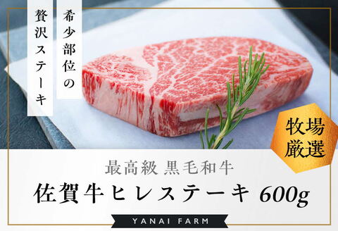 《佐賀牛》「梁井」希少部位 ヒレステーキ 3枚 600g【佐賀牛 ヒレステーキ フィレステーキ ヒレ肉 フィレ やわらか 上質 サシ 美味しい パーティー イベント ブランド肉】 K081034