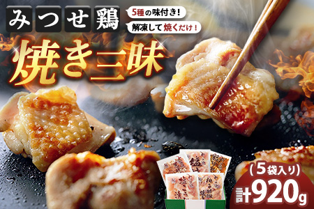 佐賀県産みつせ鶏 焼き三昧(5種)【焼き鳥 酒の肴 居酒屋 おつまみ 飲み会 塩焼 柚子胡椒焼き 黒胡椒焼き 七味焼き 塩こうじ漬け 低脂質 ヘルシー 旨味 柔らか 歯ごたえ】K059045