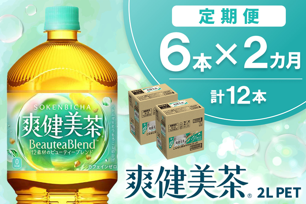 【2か月定期便】爽健美茶 2L×6本(1ケース)【コカコーラ カフェインゼロ 香ばしい おいしい ブレンド茶 お茶 ハトムギ 玄米 大麦 ドクダミ ハブ茶 飲料 お徳用 ペットボトル 備蓄 防災 熱中症】K090499