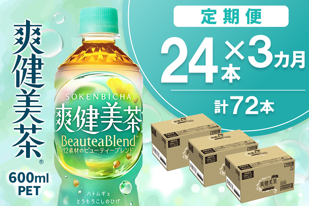 【3カ月定期便】爽健美茶 600mlPET×24本(合計3ケース)【コカコーラ カフェインゼロ 定期便 香ばしい おいしい お茶 ハトムギ 玄米 月見草 大麦 ドクダミ 飲料 ペットボトル】K090524