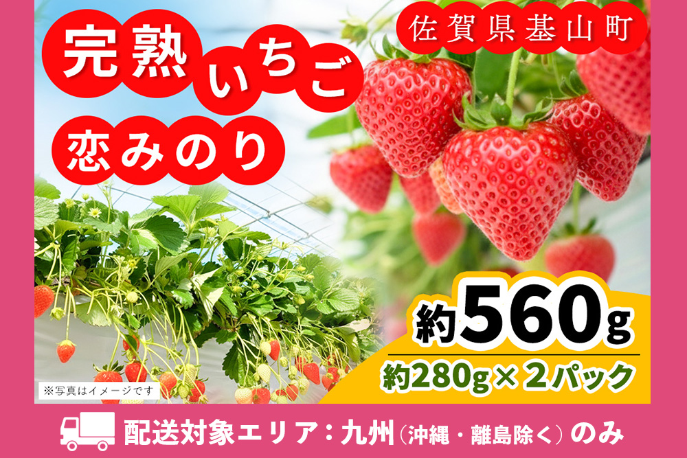 【九州内配送】【先行受付 2026年1月より発送】【農場直送！】恋みのり(約280g×2P)【ふるさと納税 基山町産 いちご イチゴ 朝採れ 完熟果】K100027