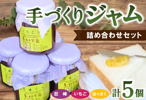 手づくりジャム詰め合わせセット【ジャム 手づくり マーマレード はっさく 巨峰 さがほのか 詰め合わせ セット】 K016007