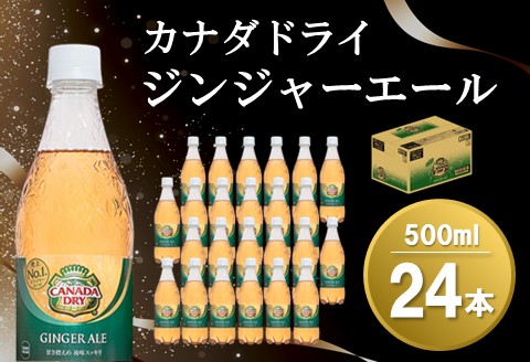 カナダドライジンジャーエール 500mlPET×24本(1ケース)[コカコーラ ジンジャエール カナダドライ 炭酸 飲料 ペットボトル 常備 保存 買い置き 水分補給]