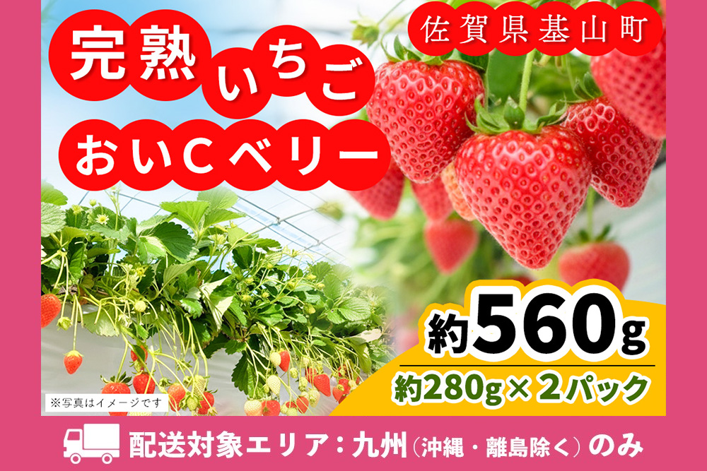 [九州内配送][農場直送いちご]おいCベリー(約280g×2P)[ふるさと納税 基山町産 いちご イチゴ 朝採れ 完熟果 KBCテレビ「ふるさとwish」で紹介されました]K100035