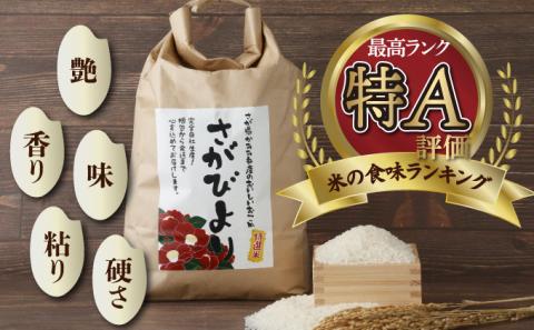 特選米100%!令和7年産さがびより(精白米) 10kg 【D-686-V】