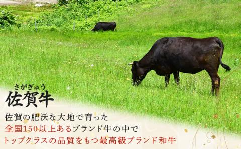 佐賀牛しゃぶしゃぶ･すき焼きｾｯﾄ(年12回)