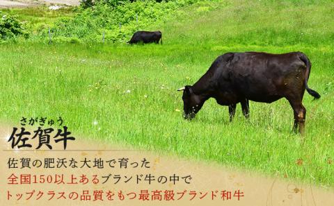 老舗49年 佐賀牛セット(定期便年12回)