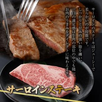 A5ランク佐賀牛 計400gサーロインステーキ&ローススライス食べ比べセット