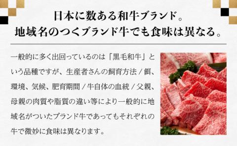 佐賀牛セット 年4回定期便コース(3人前)