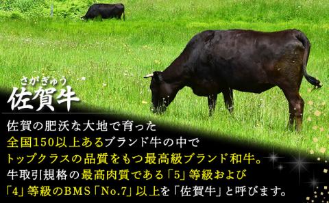 佐賀牛みすじブロック(2000g)