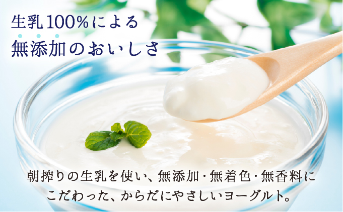 大富牧場の無添加ヨーグルト プレーンヨーグルト600g×2