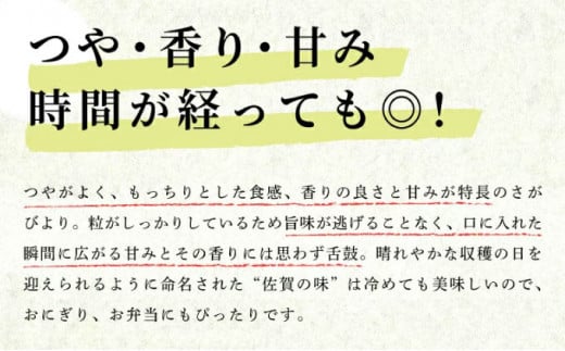《先行予約》《2025年11月発送》 令和7年産 さがびより（精米）5kg [B-1122-AS(11)]
